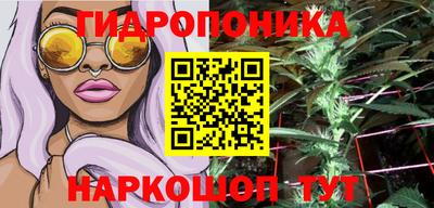 скорость Берёзовский