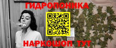 скорость Берёзовский