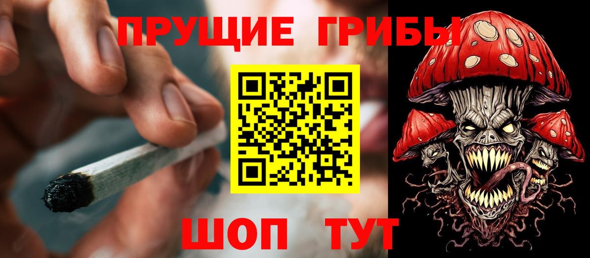 Кашира  Псилоцибиновые грибы ЛСД  наркота  Вход с VPN 