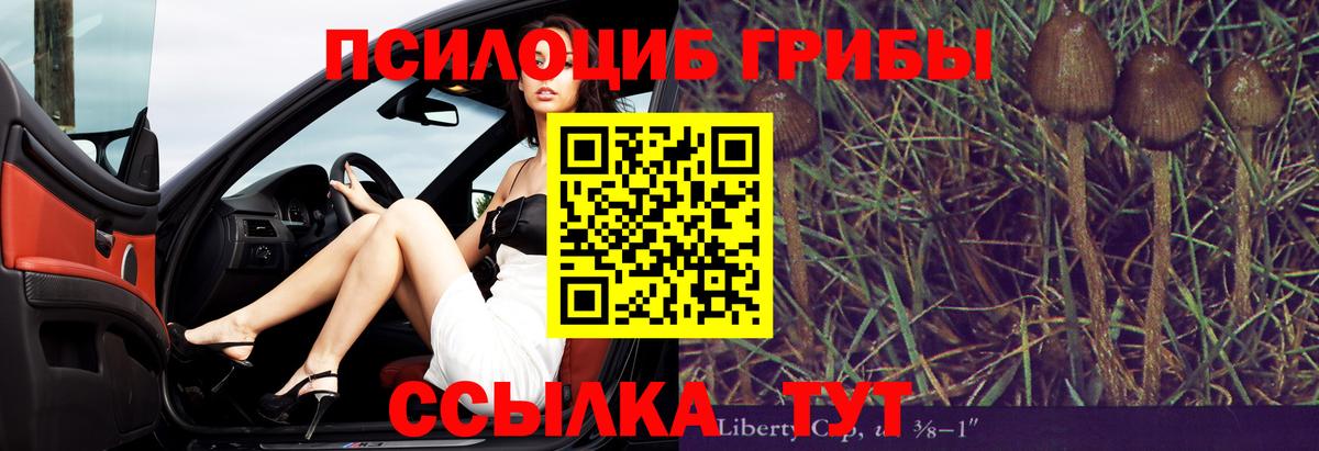 Галлюциногенные грибы прущие грибы Кашира